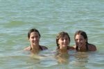 Filename=P1010497.JPG
Filesize=19KB
Dimensions=400x266
Date added=Oct 31, 2008 P1010497.JPG